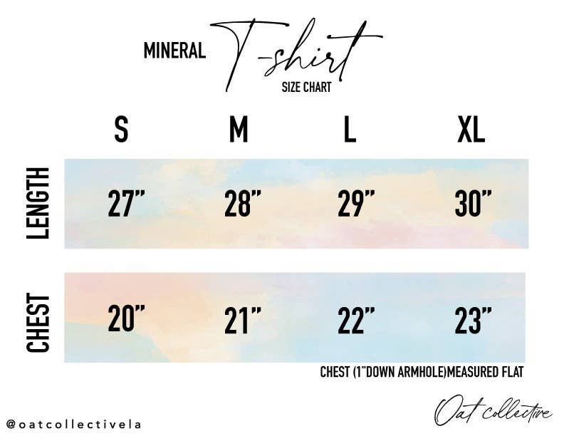 USA Mineral Washed Graphic T-Shirt